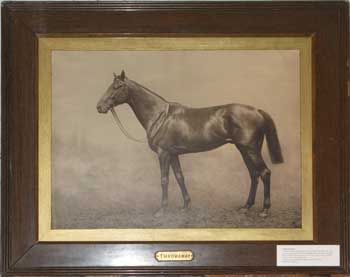 Throwaway the horse, from the Martello Tower Joyce Museum, photo by Erik Simpson